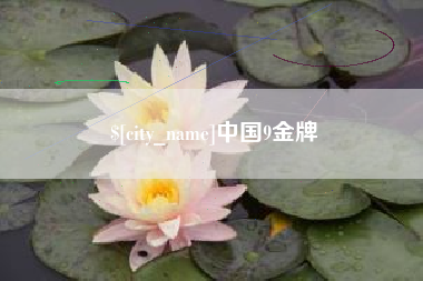 定边中国9金牌