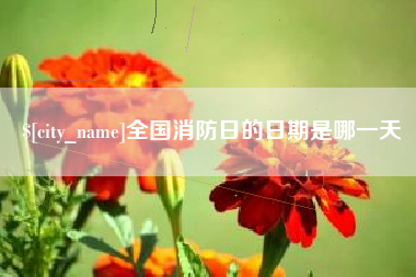 定边全国消防日的日期是哪一天