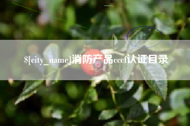 定边消防产品cccf认证目录