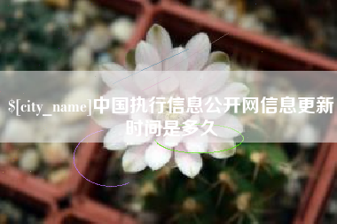 定边中国执行信息公开网信息更新时间是多久