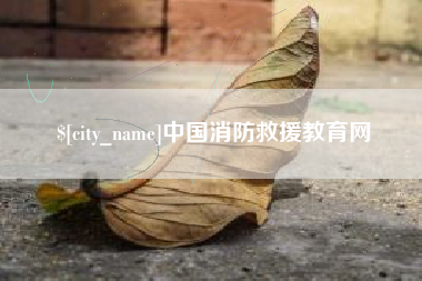 定边中国消防救援教育网