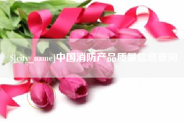 定边中国消防产品质量信息查询