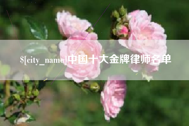 定边中国十大金牌律师名单