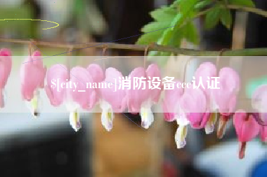 定边消防设备ccc认证