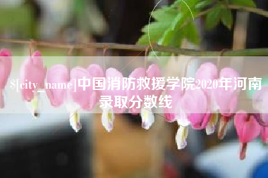 定边中国消防救援学院2020年河南录取分数线