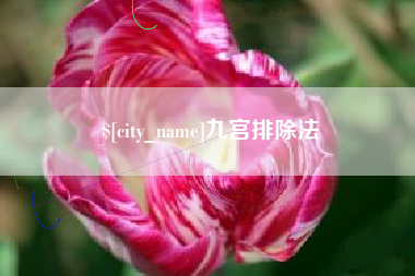 定边九宫排除法