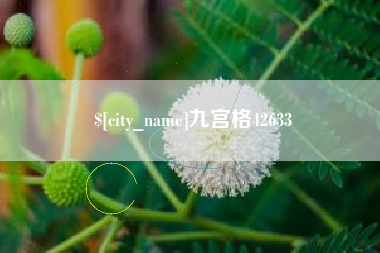 定边九宫格42633