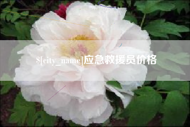 定边应急救援员价格