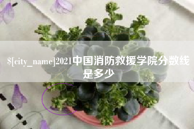 定边2021中国消防救援学院分数线是多少