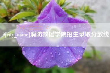 定边消防救援学院招生录取分数线
