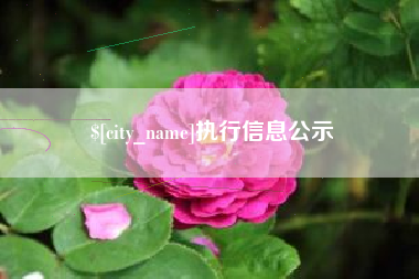 定边执行信息公示