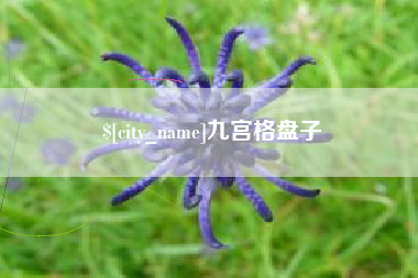 定边九宫格盘子