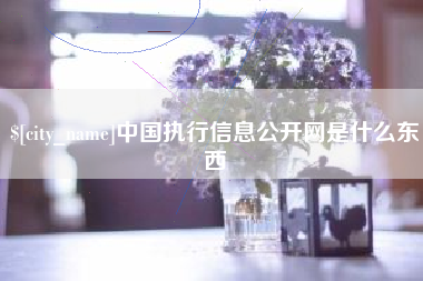 定边中国执行信息公开网是什么东西