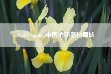 定边中国消防器材商城
