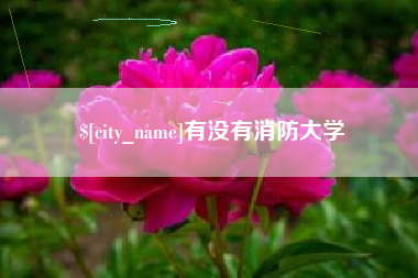 定边有没有消防大学