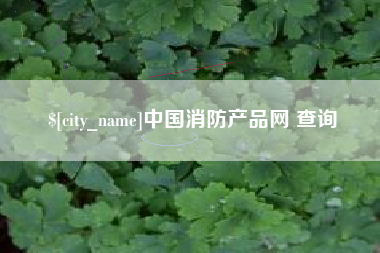 定边中国消防产品网 查询