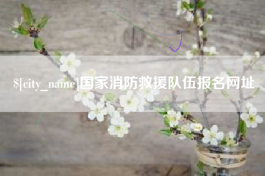 定边国家消防救援队伍报名网址