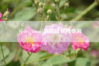 定边消控证官网查询