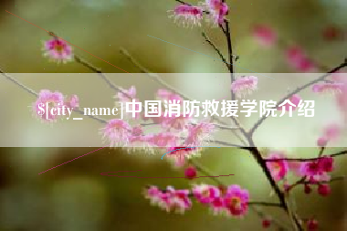 定边中国消防救援学院介绍