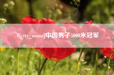 定边中国男子5000米冠军