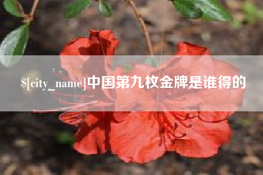 定边中国第九枚金牌是谁得的