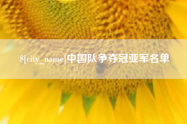 定边中国队争夺冠亚军名单