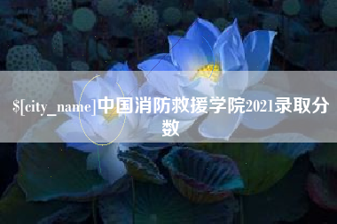 定边中国消防救援学院2021录取分数