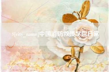 定边中国消防救援学院日常