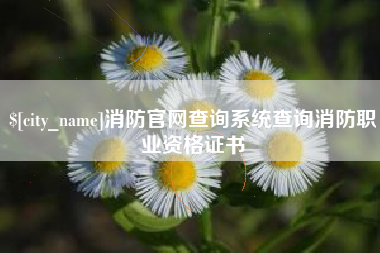 定边消防官网查询系统查询消防职业资格证书