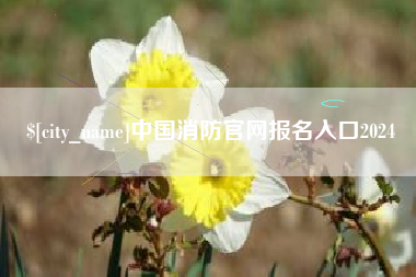 定边中国消防官网报名入口2024