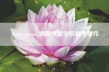 定边消防救援学院报考条件