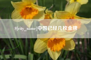 定边中国已经几枚金牌