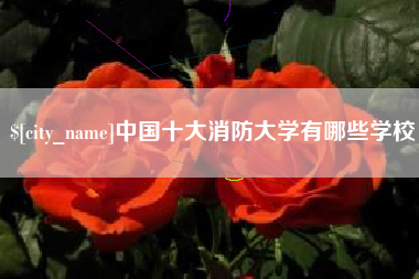 定边中国十大消防大学有哪些学校
