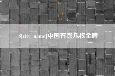 定边中国有哪几枚金牌