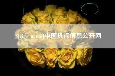 定边中国执行信息公开网