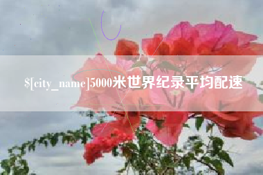 定边5000米世界纪录平均配速