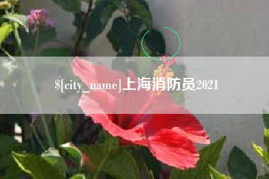 定边上海消防员2021