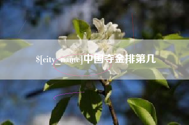 定边中国夺金排第几