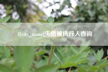 定边失信被执行人杳询