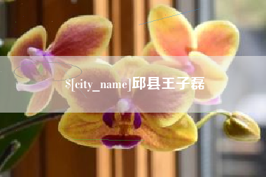 定边邱县王子磊