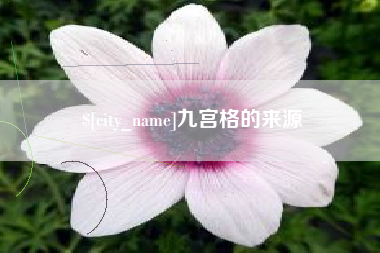 定边九宫格的来源