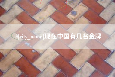 定边现在中国有几名金牌