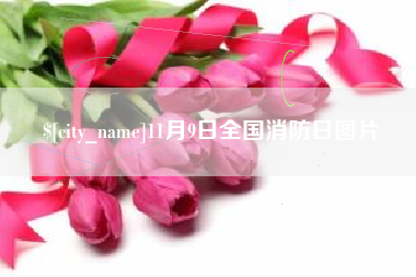 定边11月9日全国消防日图片