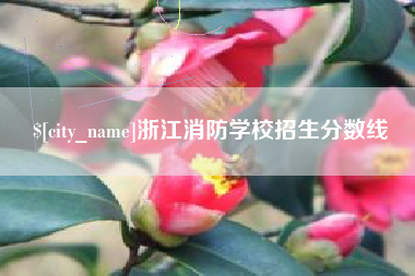 定边浙江消防学校招生分数线