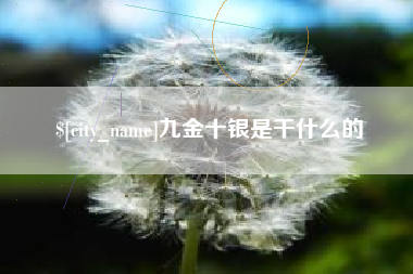 定边九金十银是干什么的