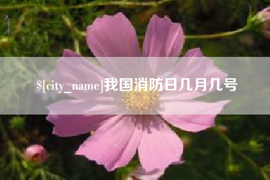 定边我国消防日几月几号