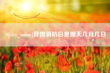 定边我国消防日是哪天几月几日