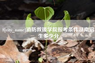 定边消防救援学院报考条件湖南招生多少分