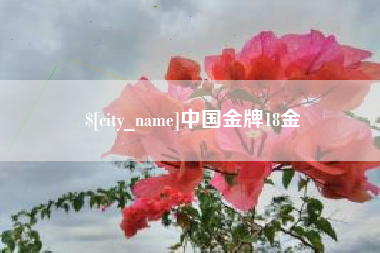 定边中国金牌18金