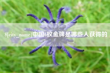 定边中国6枚金牌是哪些人获得的